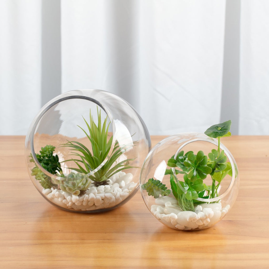 Bubble Bowl Vase Terrarium