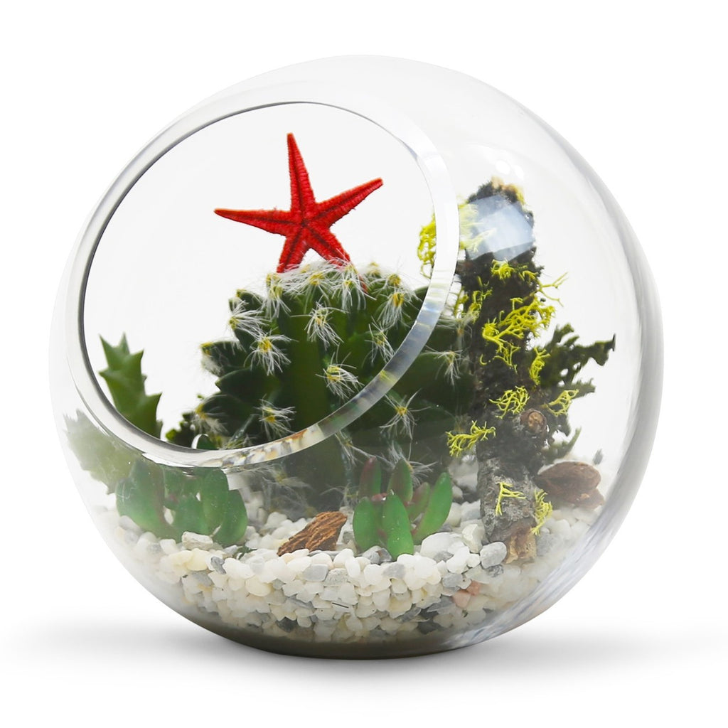 Bubble Bowl Vase Terrarium