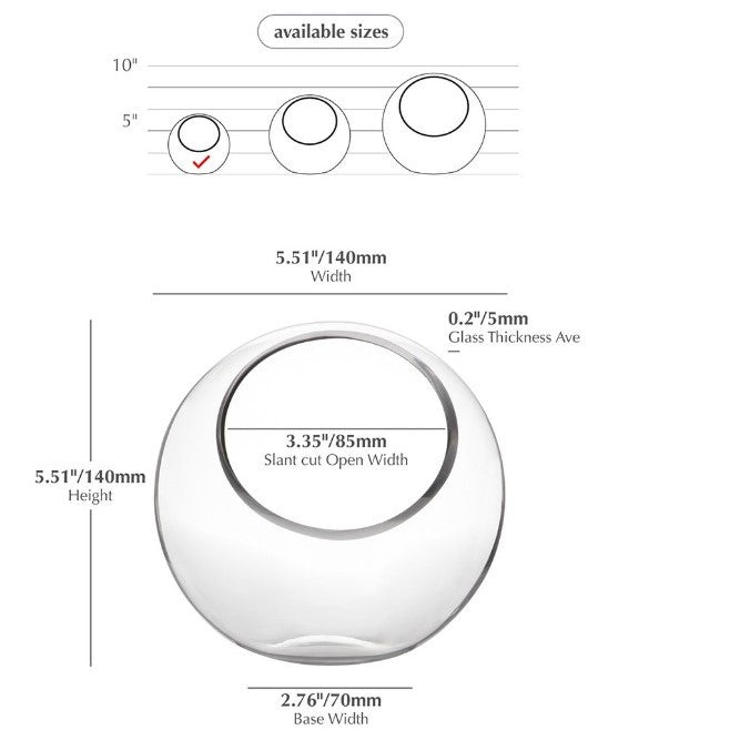 Bubble Bowl Vase Terrarium