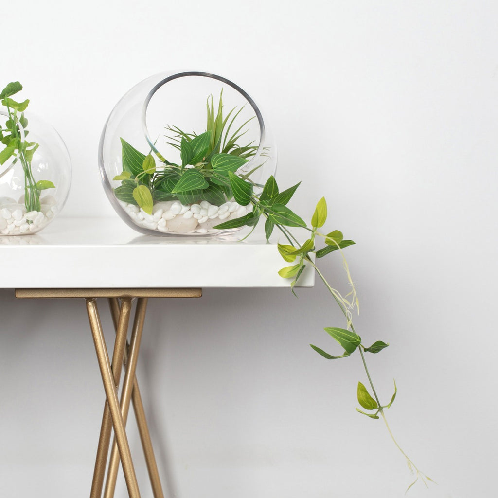 Bubble Bowl Vase Terrarium