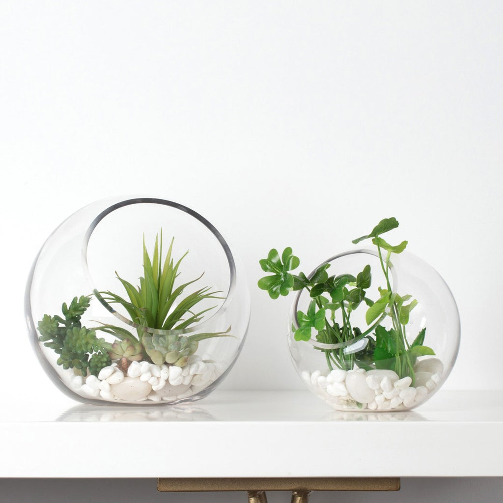 Bubble Bowl Vase Terrarium