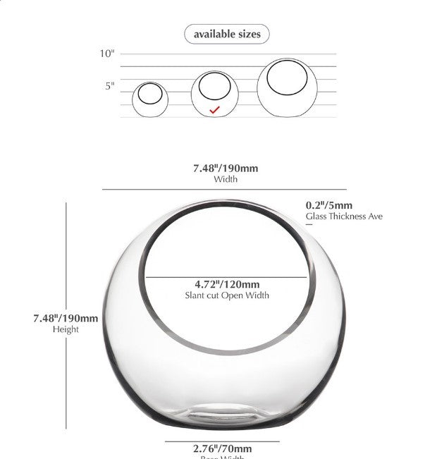 Bubble Bowl Vase Terrarium