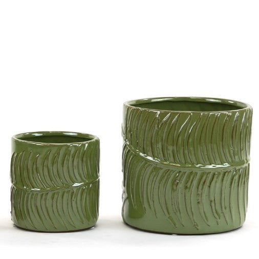 Green Fern Cylinder Pot