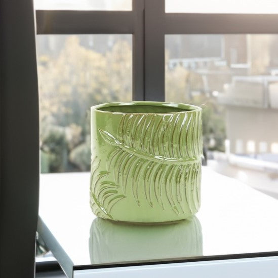 Green Fern Cylinder Pot