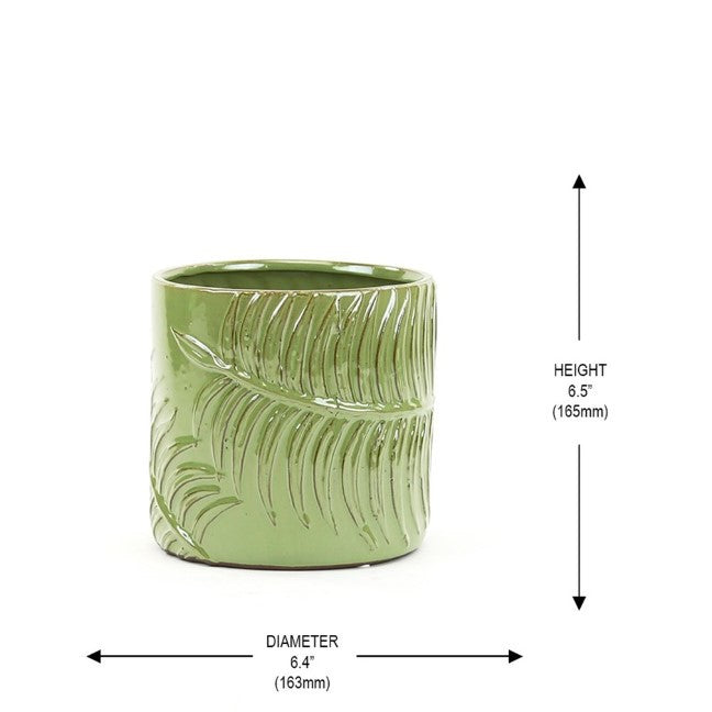 Green Fern Cylinder Pot