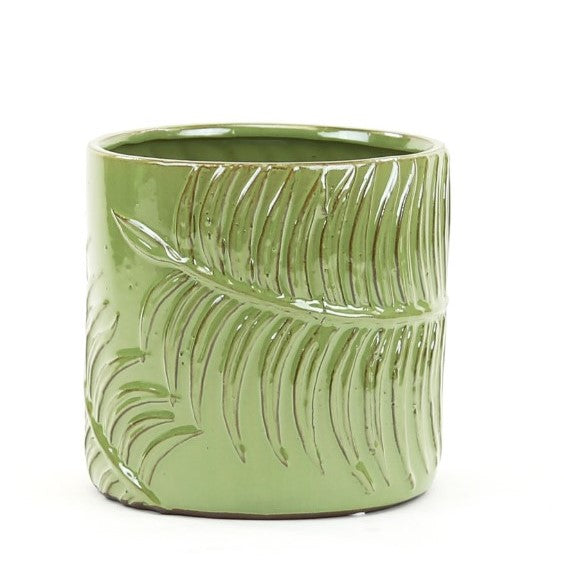 Green Fern Cylinder Pot