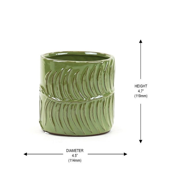 Green Fern Cylinder Pot