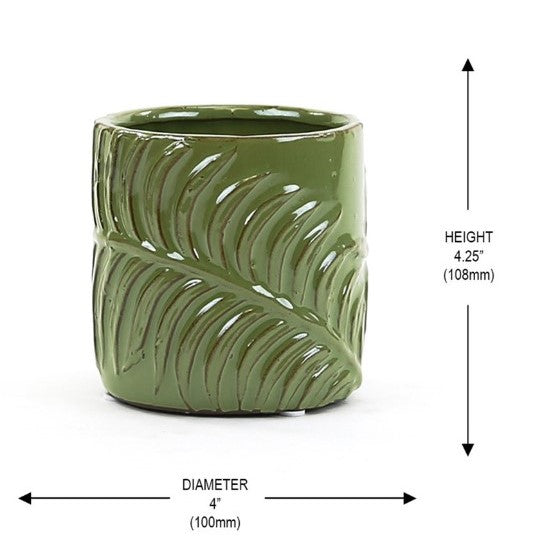 Gift Green Cylindrical Vase w/ Cactus or Succulent