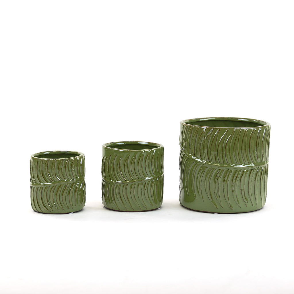 Green Fern Cylinder Pot