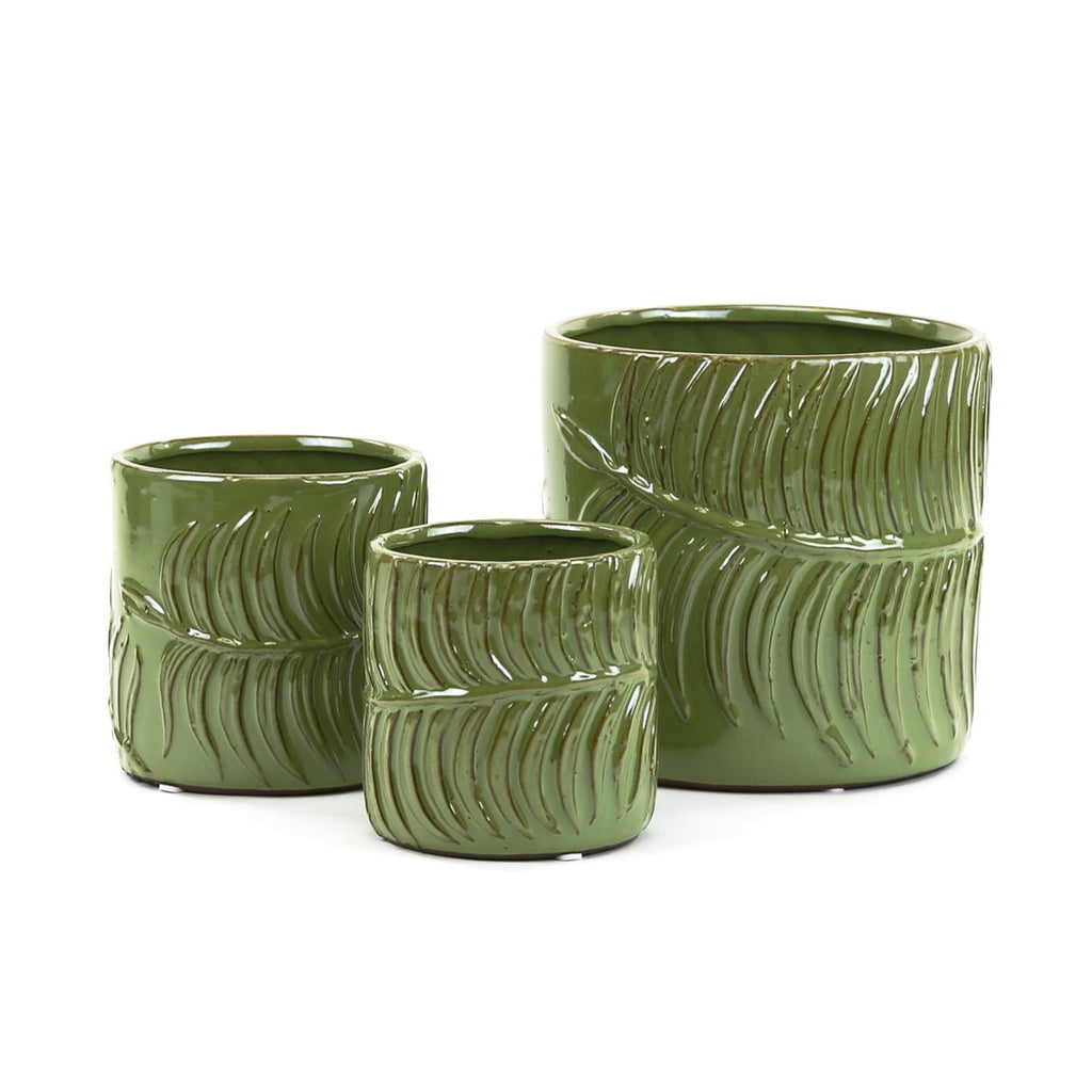 Green Fern Cylinder Pot