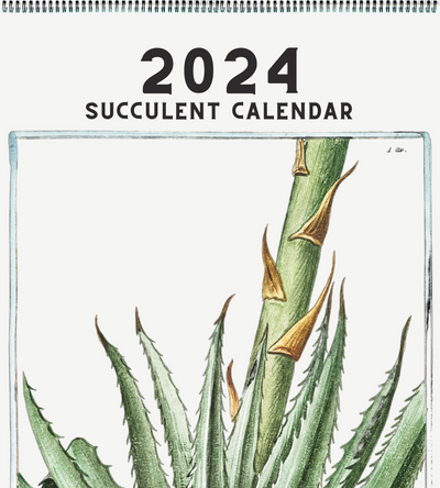 2024 Succulent Calendar