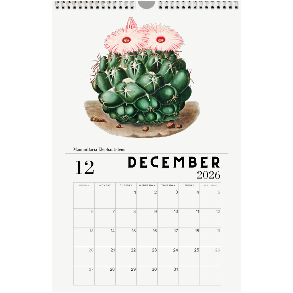 generated-preview-12