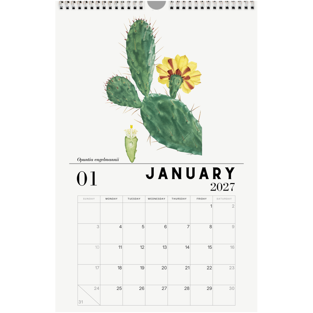 generated-preview-13