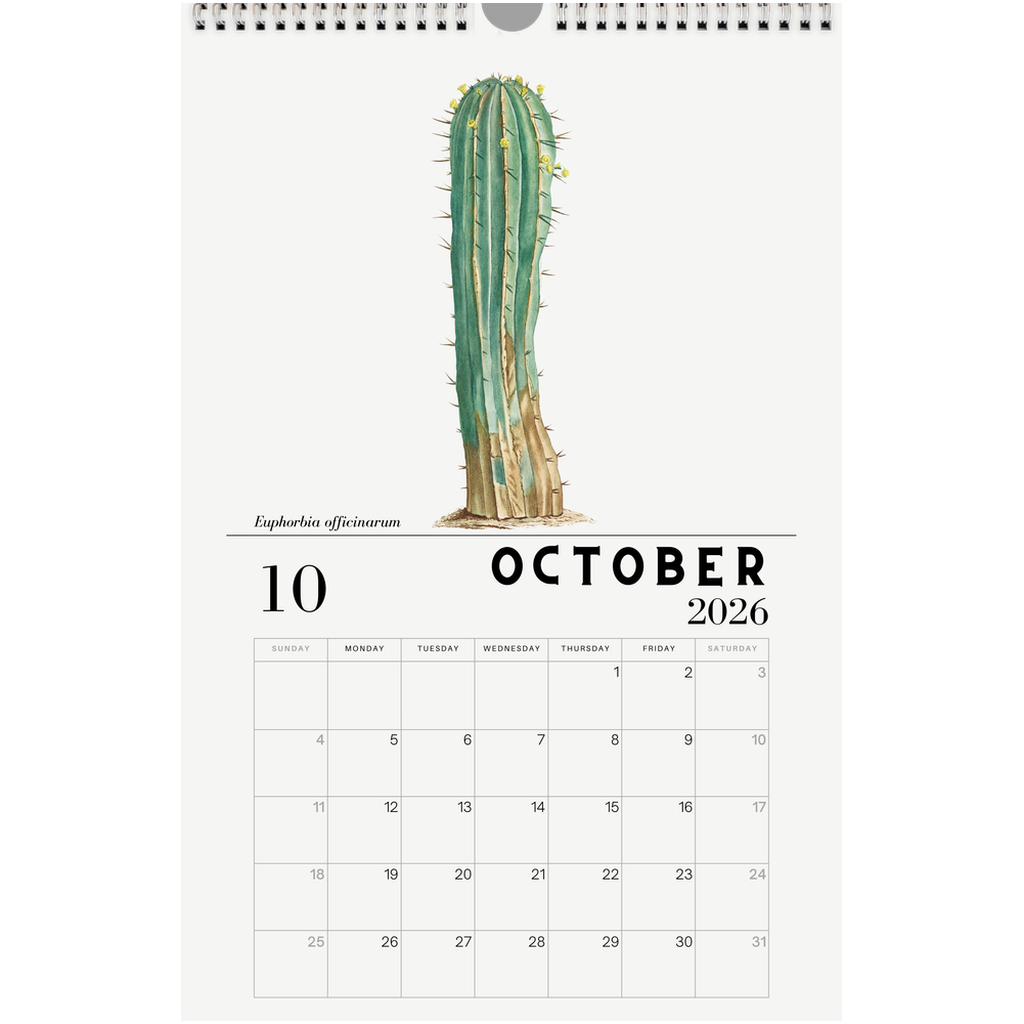 generated-preview-10