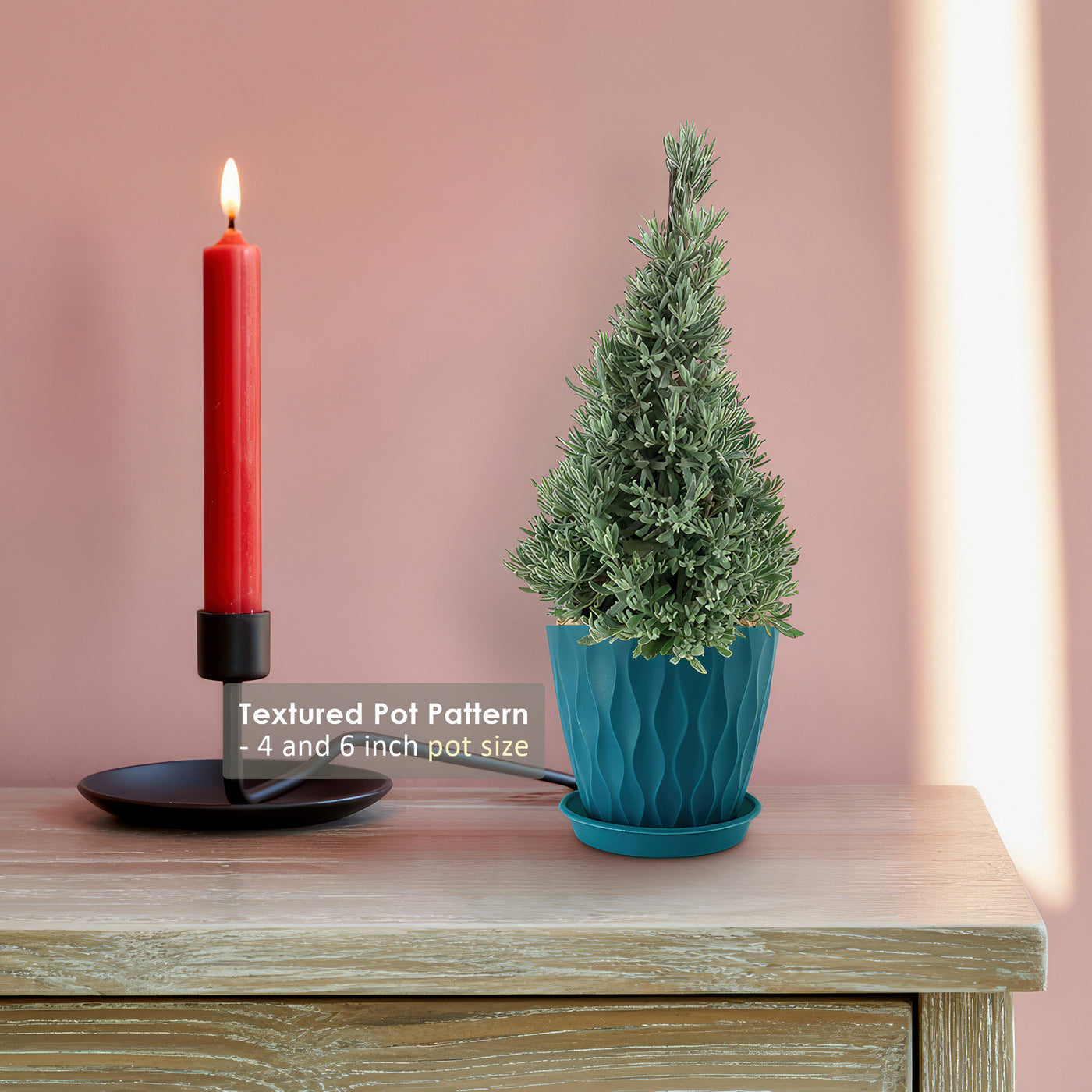 mini lavender christmas tree Lavender Christmas Tree 6" Pot / Self Watering / Without Pot