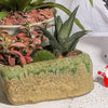 Stone-Shaped Ceramic Succulent Planter with Drainage Hole