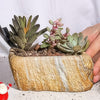Stone-Shaped Ceramic Succulent Planter with Drainage Hole