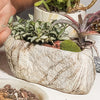Stone-Shaped Ceramic Succulent Planter with Drainage Hole