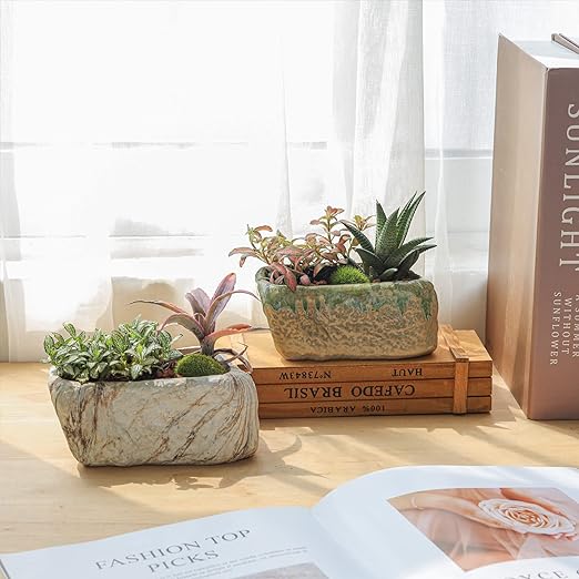 succulent stone planters Stone-Shaped Ceramic Succulent Planter with Drainage Hole 5.5" White/Brown