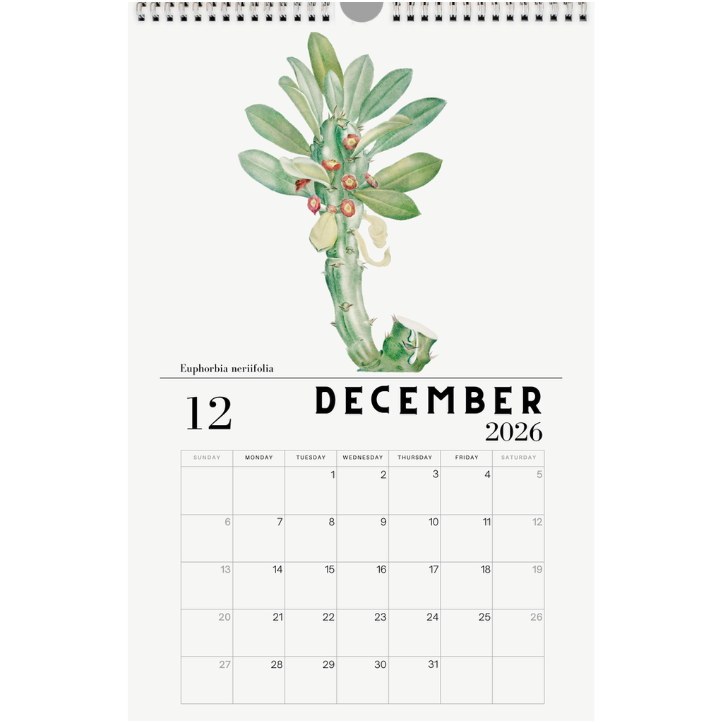 generated-preview-12