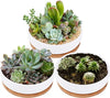 Circular Shallow Succulent and Cactus Planter with Bamboo Drainage Tray