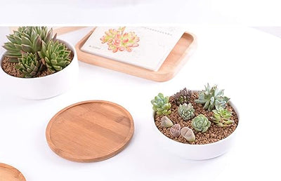 6-Inch Circular Succulent and Cactus Planter with Bamboo Drainage Tray - Ceramic Flower Pot for Garden