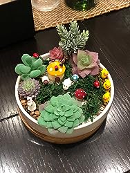 6-Inch Circular Succulent and Cactus Planter with Bamboo Drainage Tray - Ceramic Flower Pot for Garden