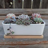 Rectangular Ceramic Planter with Bamboo Tray: Ideal for Cacti, Bonsai, and Flowers