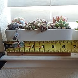 rectangle succulent pot Rectangular Ceramic Planter with Bamboo Tray: Ideal for Cacti, Bonsai, and Flowers