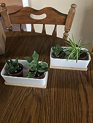 6-inch Rectangular Ceramic Planter with Bamboo Tray: Ideal for Cacti, Bonsai, and Flowers