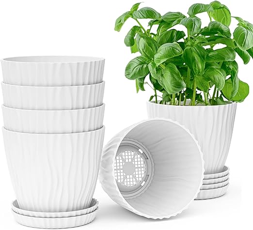 7-Inch White Plastic Pot and Saucers for Indoor and Outdoor Plants at Planet Desert