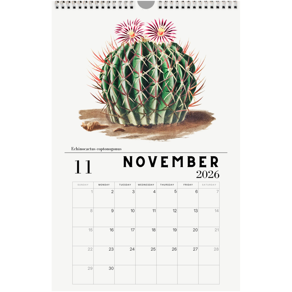 generated-preview-11