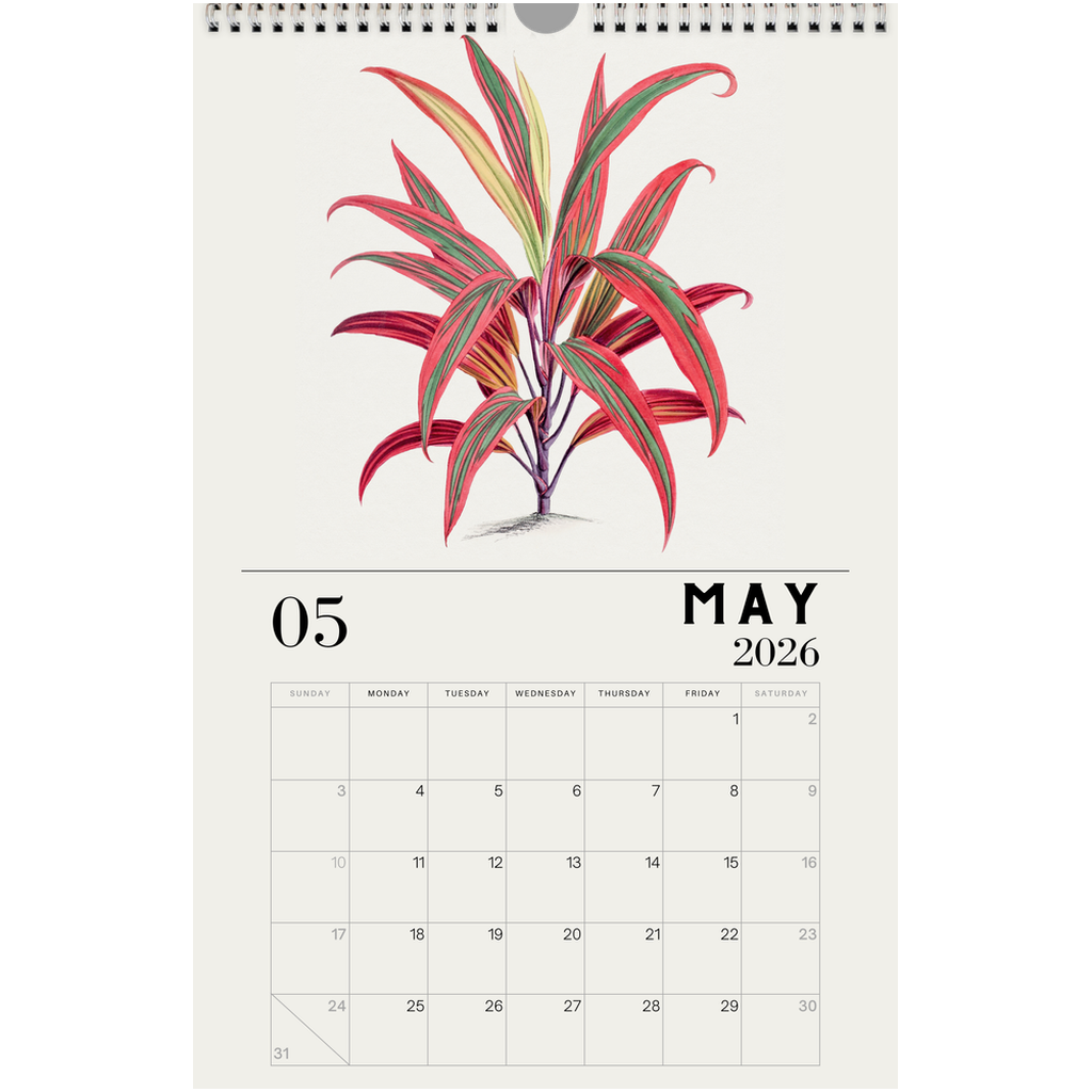 indoor plant calendar 2026 House Plant Calendar – Planet Desert