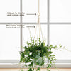 Lipstick Plant &