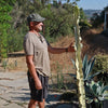 Variegated African Candelabra - Euphorbia ammak variegata