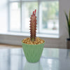 African Milk Tree - Euphorbia trigona &