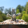 Astrophytum myriostigma huboki