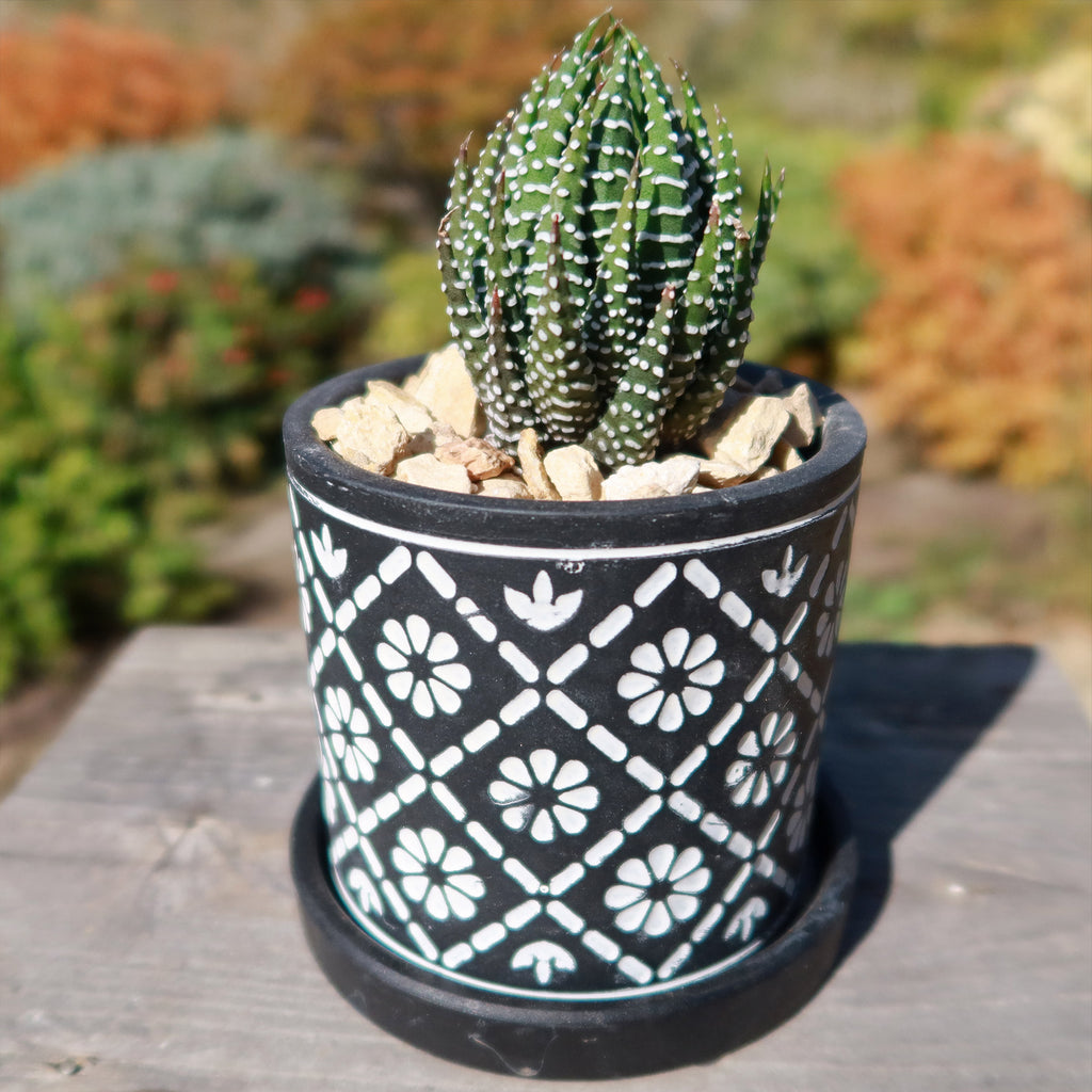 Balter Pot and Saucer