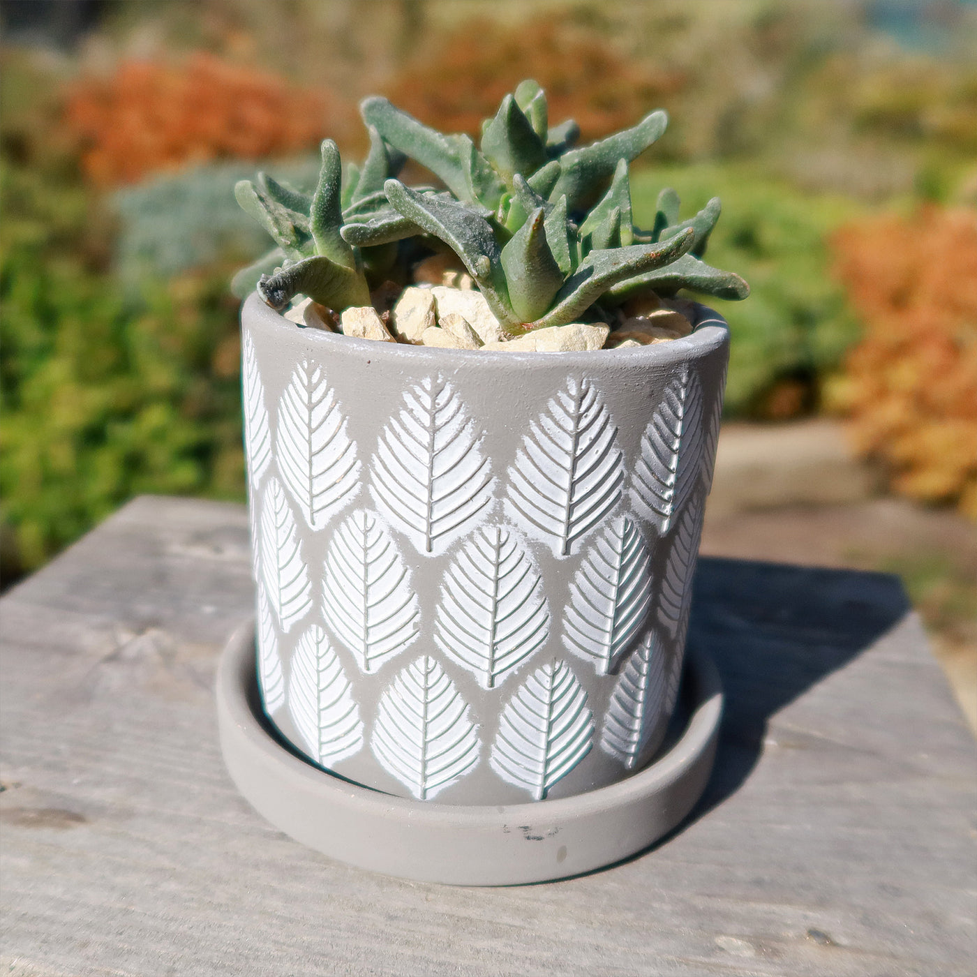 Balter Pot and Saucer 3.5