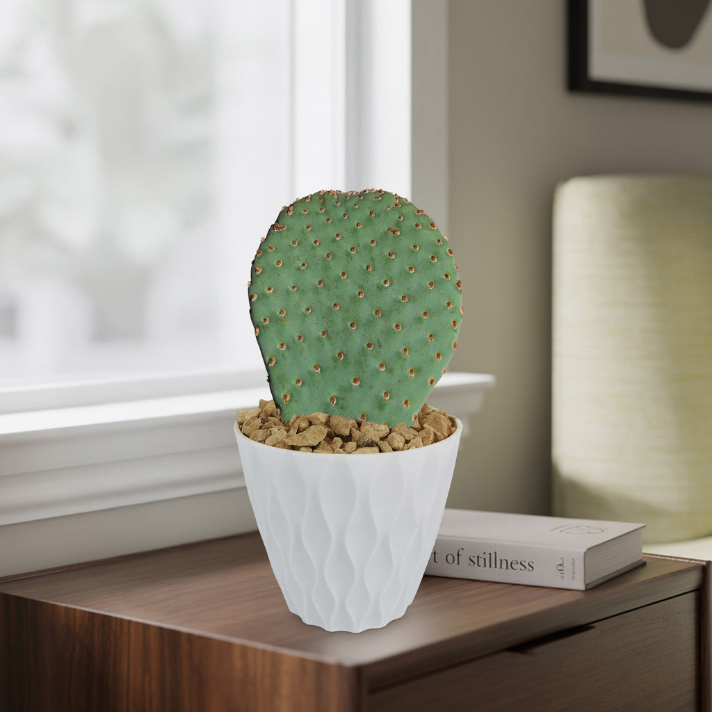 patrol_placeholder_a6ead9acc5af34cb22c78a05ed144ef7