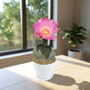 A Beavertail Cactus &