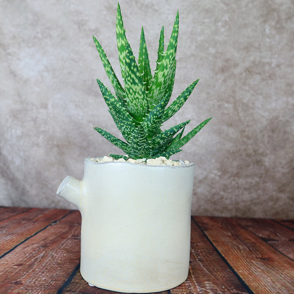 Birch Tree Trunk Vase