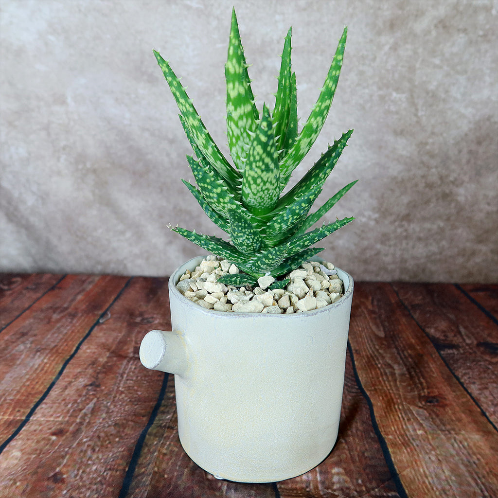 Birch Tree Trunk Vase