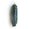 Blue Torch Cactus cutting with dark green ridged stems, light brown spines, and white fuzzy patches shown on a white background.