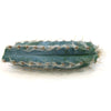 Blue Torch Cactus cuttings (Pilosocereus pachycladus) with prominent ribs, light brown spines, and white fuzz on a white background.