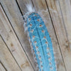 Blue Torch Cactus Cuttings ‘Pilosocereus pachycladus’