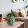 A Buddha head planter with live indoor plants rests on a wooden table, with a beige sofa and colorful cushions in the background.