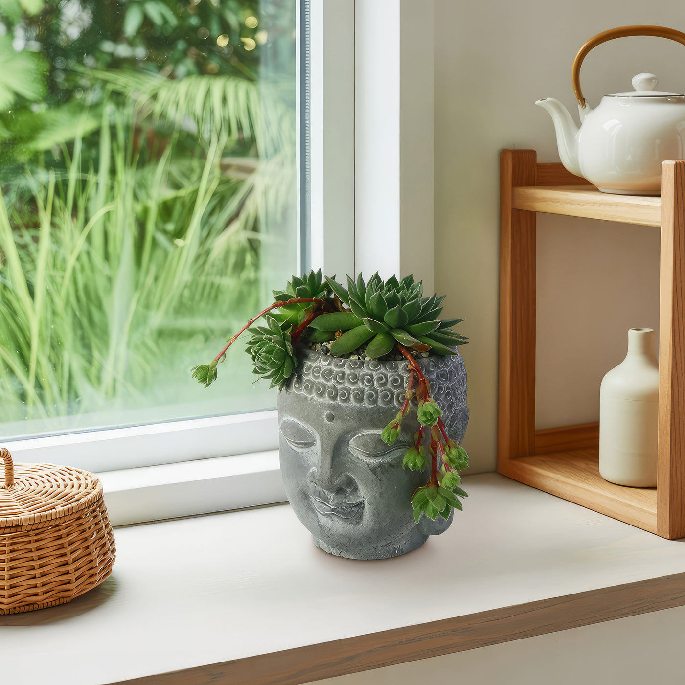 indoor buddha planter Buddha's Head With Live Indoor Plants 3" Pot / With Common Houseleek