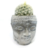 Buddha&