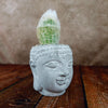 A small, white-fuzzed cactus in a ceramic Buddha head planter sits on wood against a simple textured brown background.